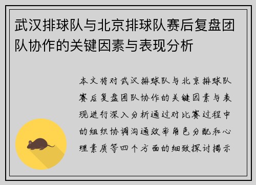 武汉排球队与北京排球队赛后复盘团队协作的关键因素与表现分析