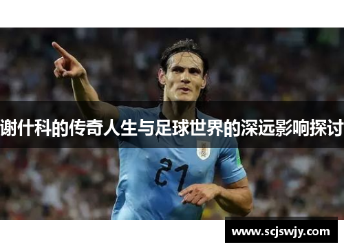 谢什科的传奇人生与足球世界的深远影响探讨