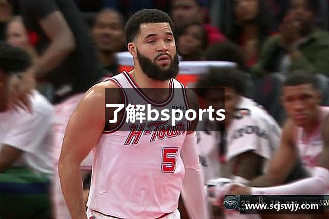 了解bsports